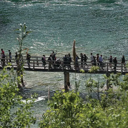 Gorgeous In Apartment