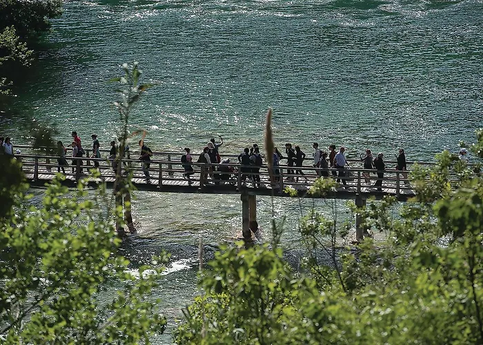 Gorgeous In Appartement